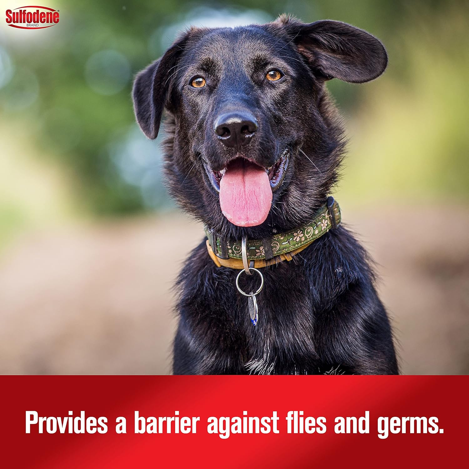 sulfodene-dog-wound-care-ointment---pain-relief-infection-prevention-for-cuts-scrapes-bites---2-oz-5