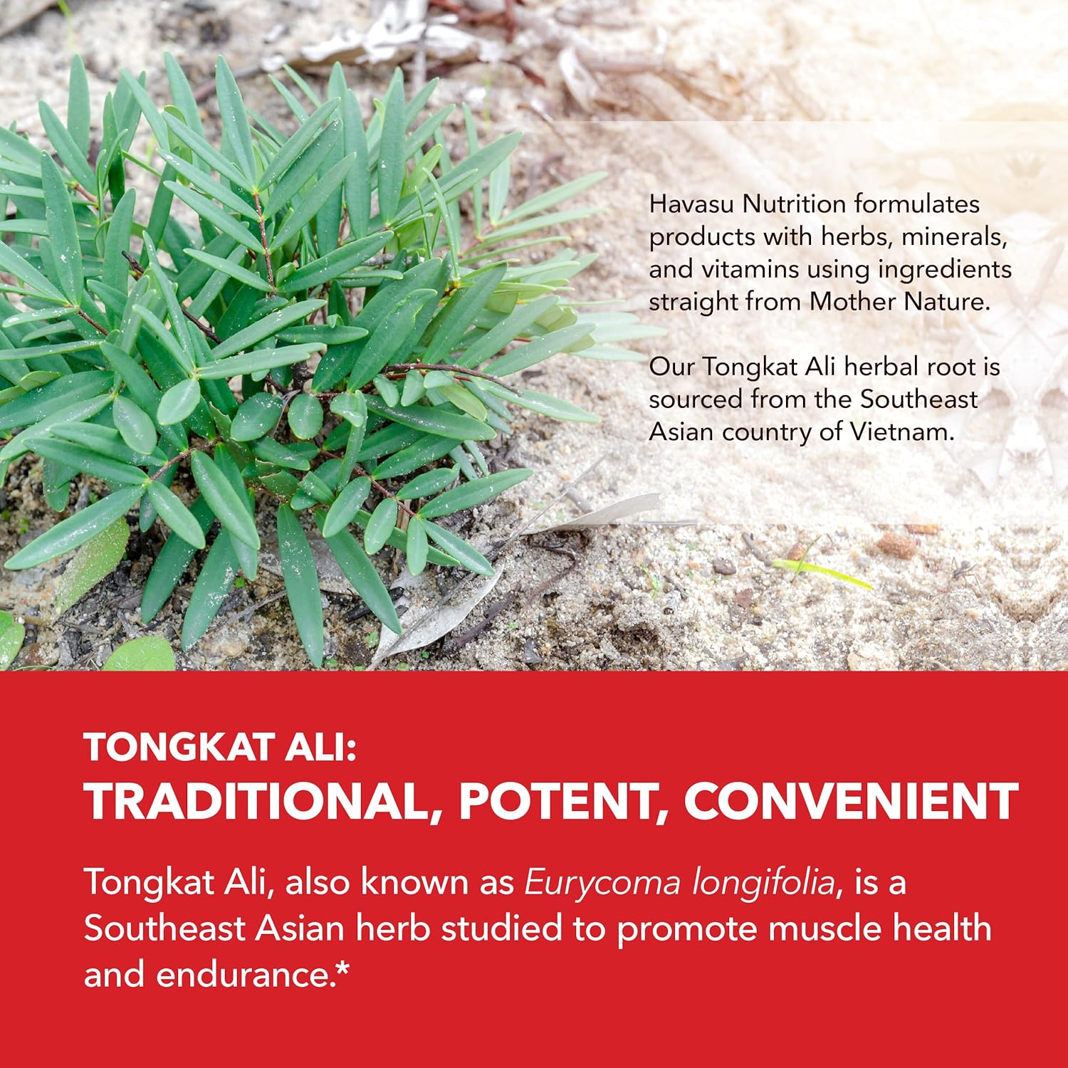 high-potency-tongkat-ali-longjack-capsules-for-men---1250mg-per-serving---2001-eurycoma-longifolia-extract---supports-male-health-energy-performance---120-count---non-gmo-vegetarian---2-month-supply-7