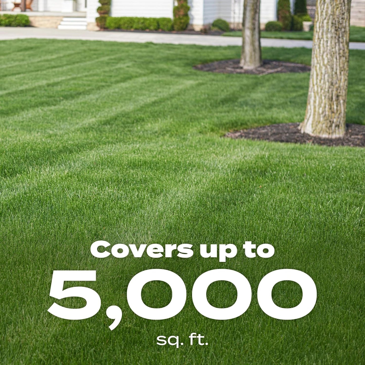 Scotts Green Max Lawn Food with Iron Supplement for Greener Grass - 16.67 lbs, 5,000 sq. ft Coverage - Lawn Fertilizer - Espot.com.au