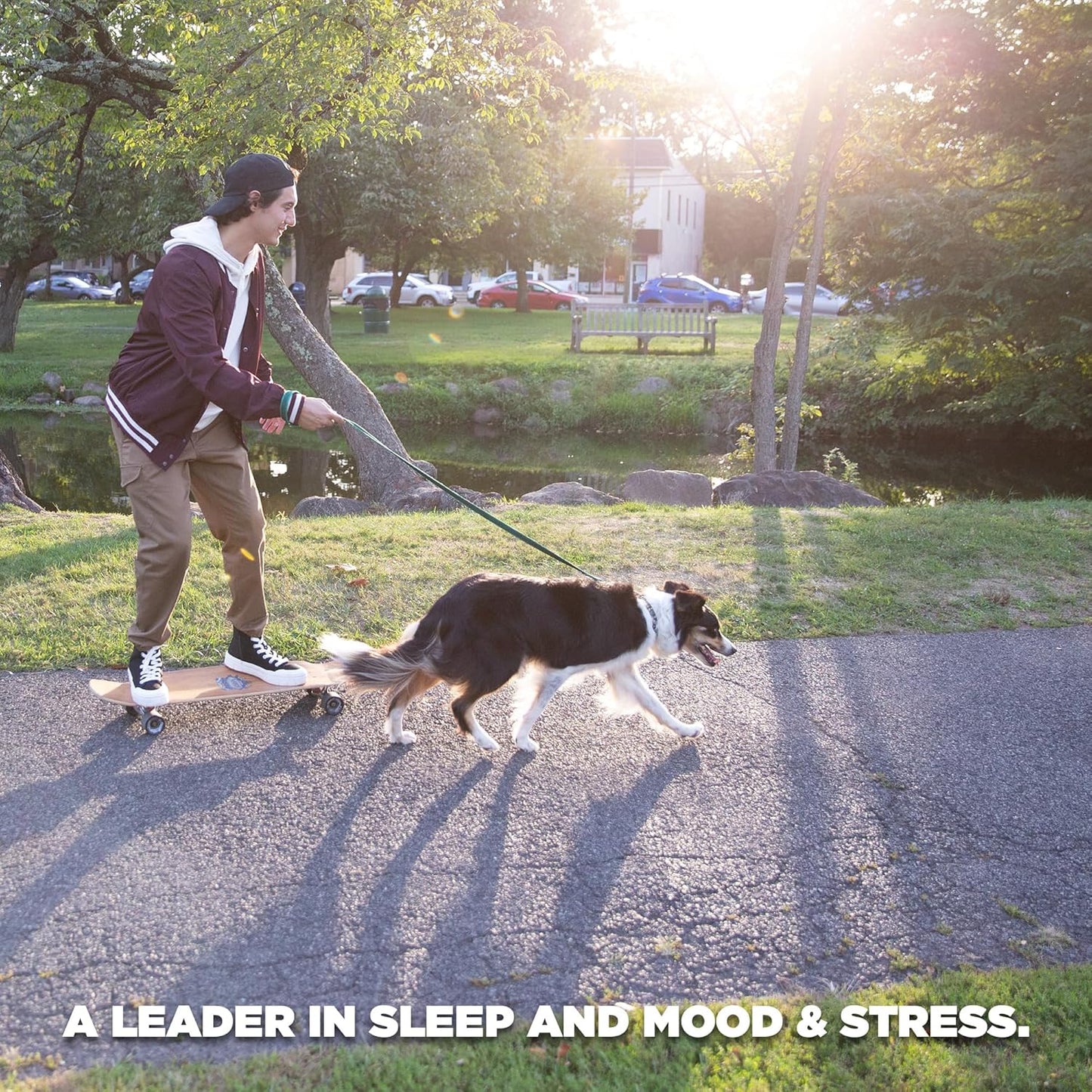 natrol-easy-c-immune-health-dietary-supplement---high-potency-vitamin-c-tablets-500mg-60-count---supports-immune-system-6