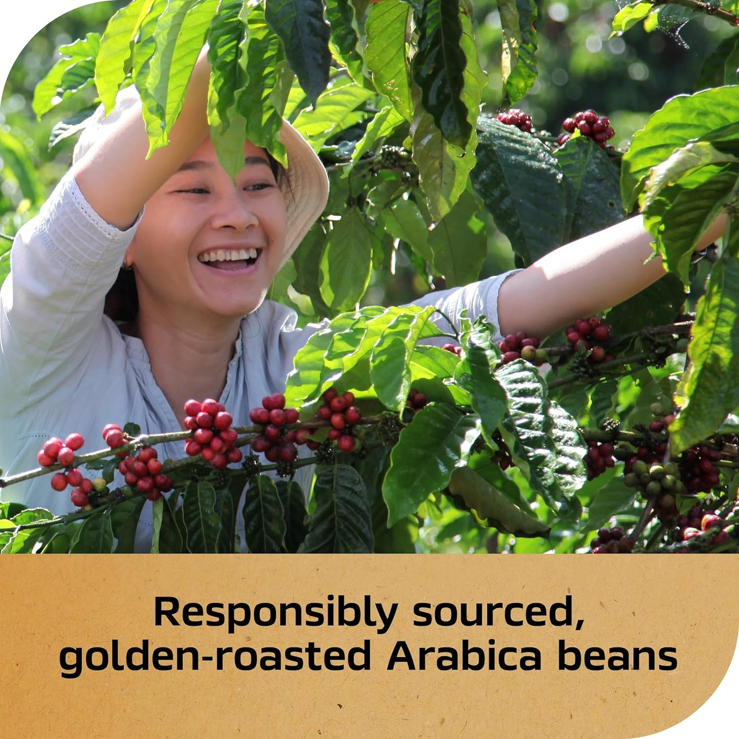 nescaf-gold-espresso-blonde-instant-coffee---35-oz-jar-6