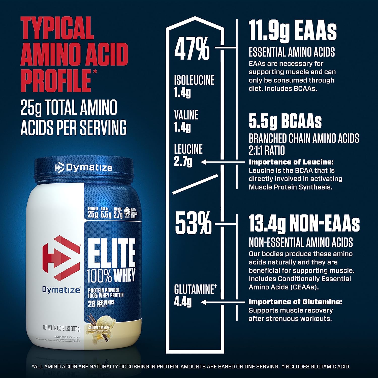dymatize-elite-whey-protein-powder-with-l-leucine-for-muscle-recovery---gourmet-vanilla-flavor---32-oz-7