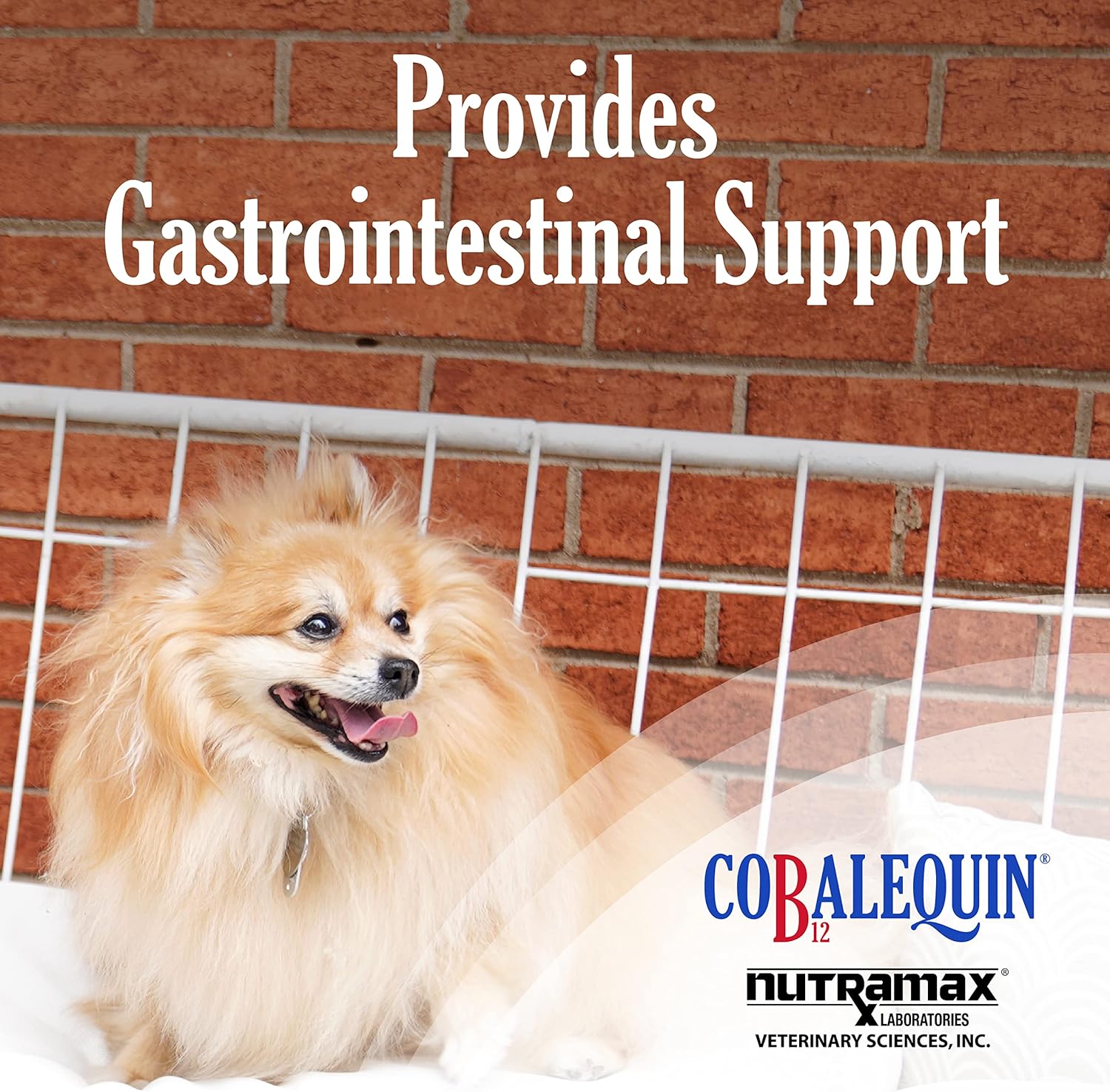 nutramax-cobalequin-b12-supplement-for-cats-small-dogs---45-count-pack---nutritional-support-for-pets-3