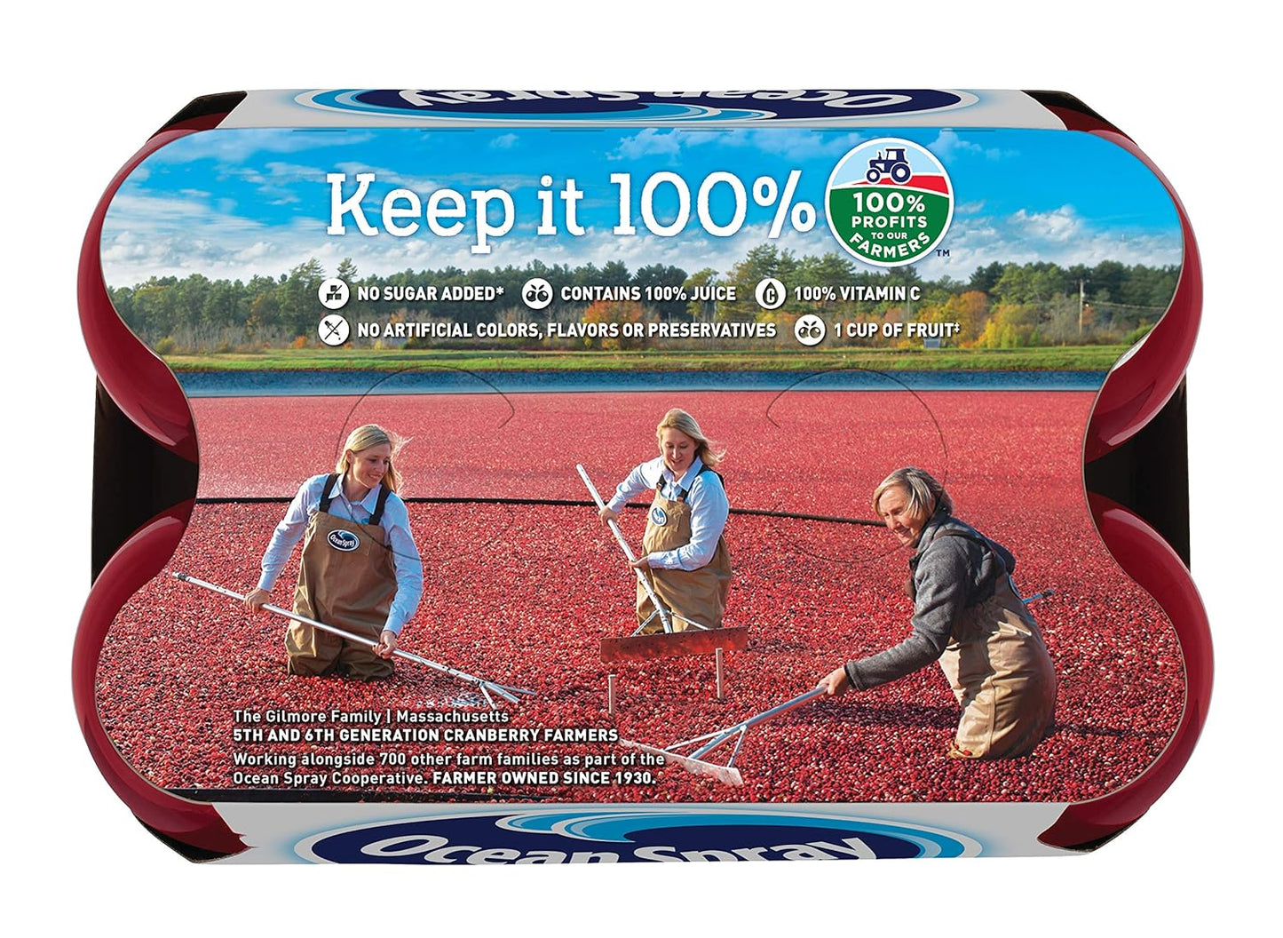 ocean-spray-cranberry-juice-blend-100-juice-10-fl-oz-6-pack---single-pack-2