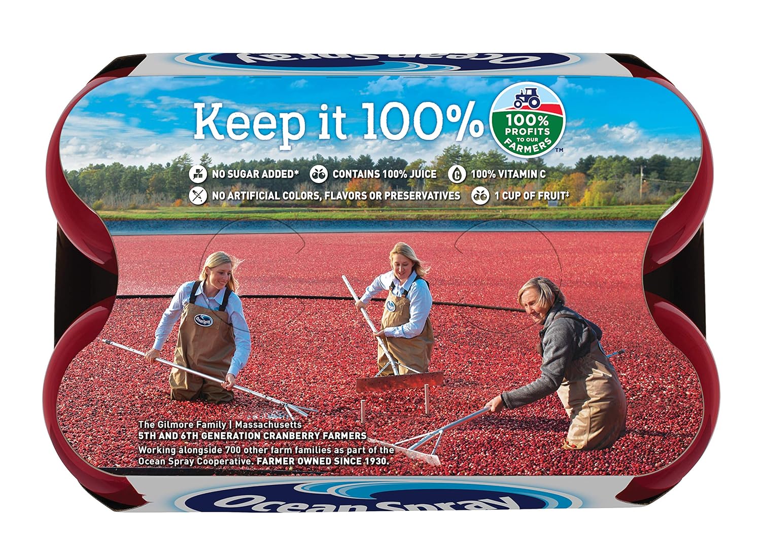 ocean-spray-cranberry-juice-blend-100-juice-10-fl-oz-6-pack---single-pack-2