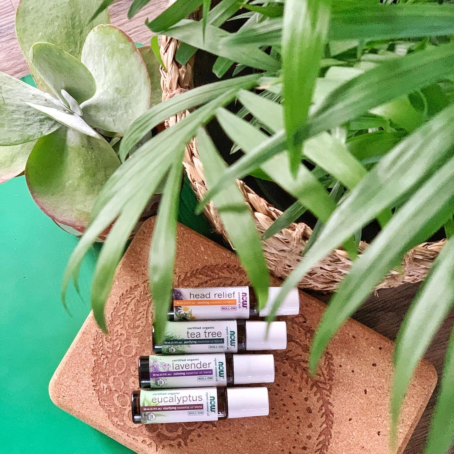 non-gmo-seasonal-defense-essential-oil-roll-on---10ml-cleansing-blend-topical-aromatherapy-steam-distilled---now-foods-5