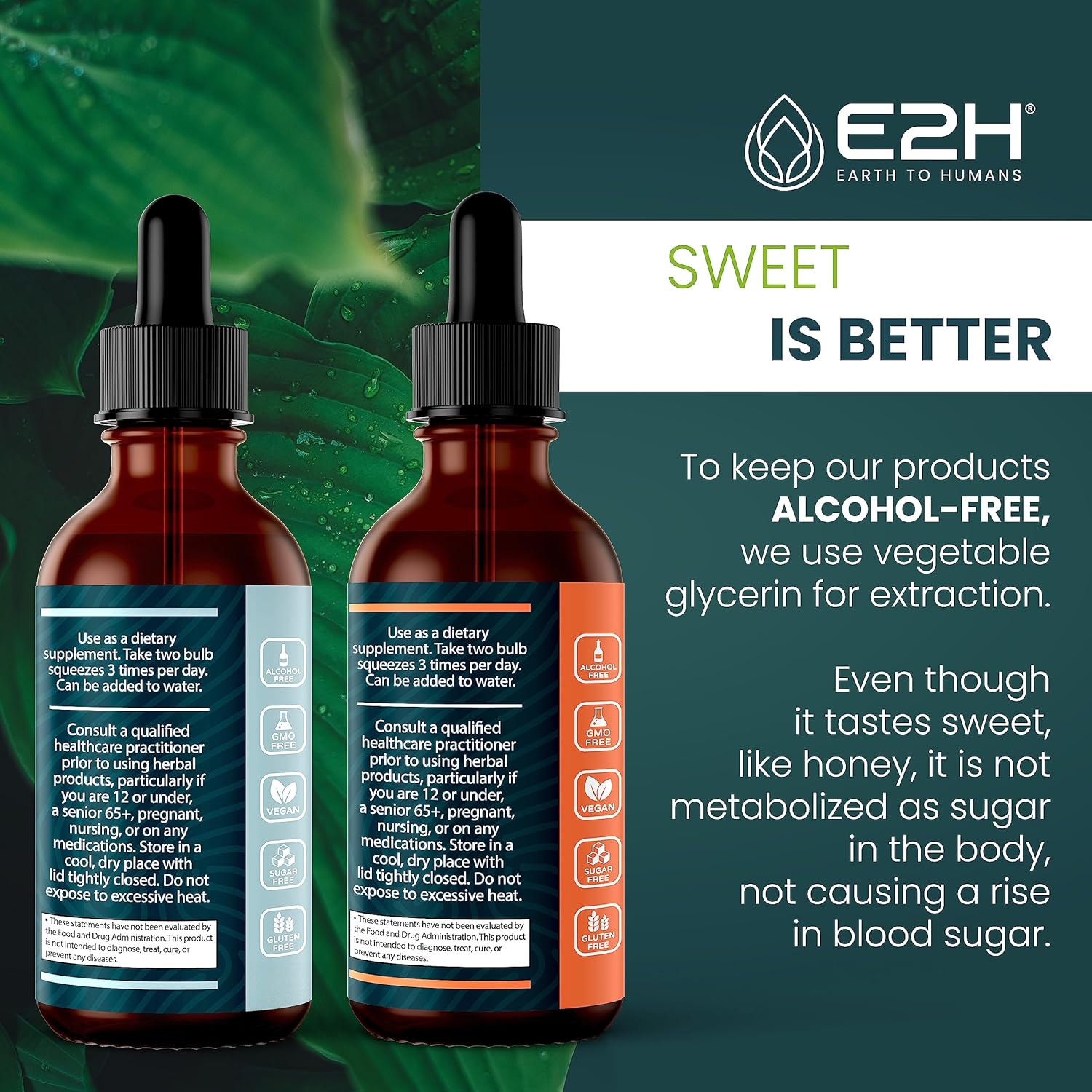 e2h-earth-to-humans-turkey-tail-cordyceps-extracts-bundle---immune-support-focus-memory-clarity---non-gmo-vegan---4-fl-oz-total-5