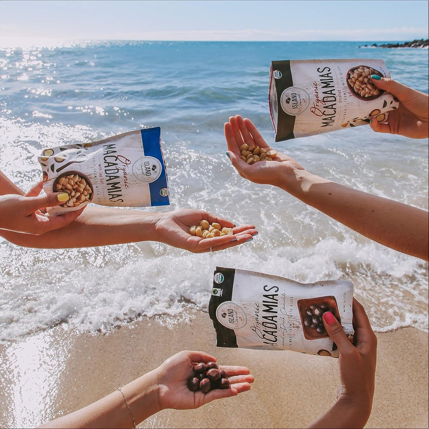 hawaiian-island-harvest-organic-macadamia-nuts-with-sea-salt---keto-friendly-non-gmo-gluten-free-dry-roasted-nuts---high-fiber-snack-8-oz-2-pack-4