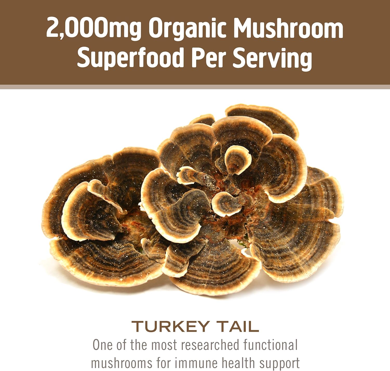 organic-turkey-tail-mushroom-powder---immune-support-gut-health-supplement---35oz-50-servings---rich-in-polysaccharides-beta-glucans-6