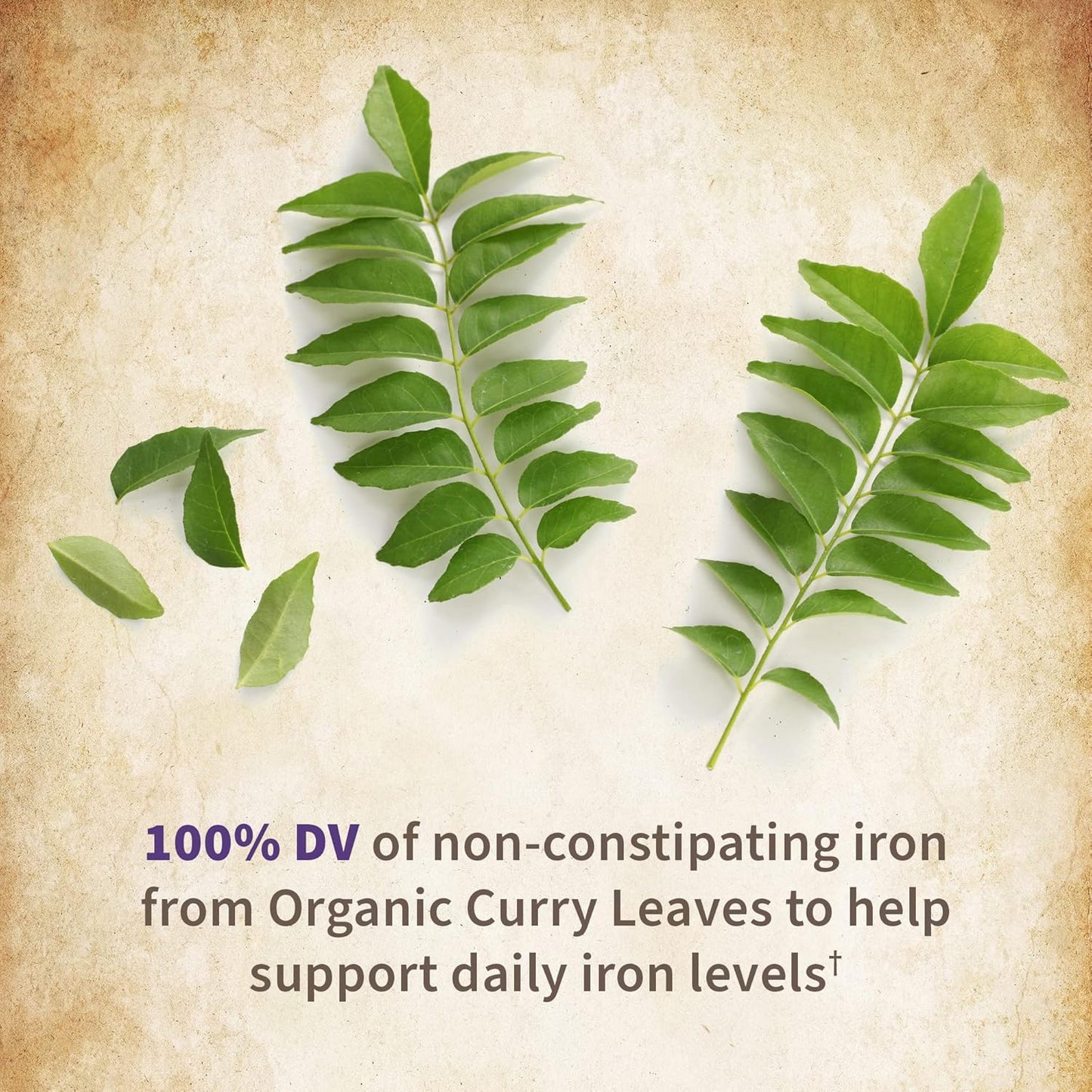 organic-womens-prenatal-multivitamin---vitamin-d3-b6-b12-c-iron-folate---energy-fetal-development---non-gmo-gluten-free-vegan---30-day-supply-6