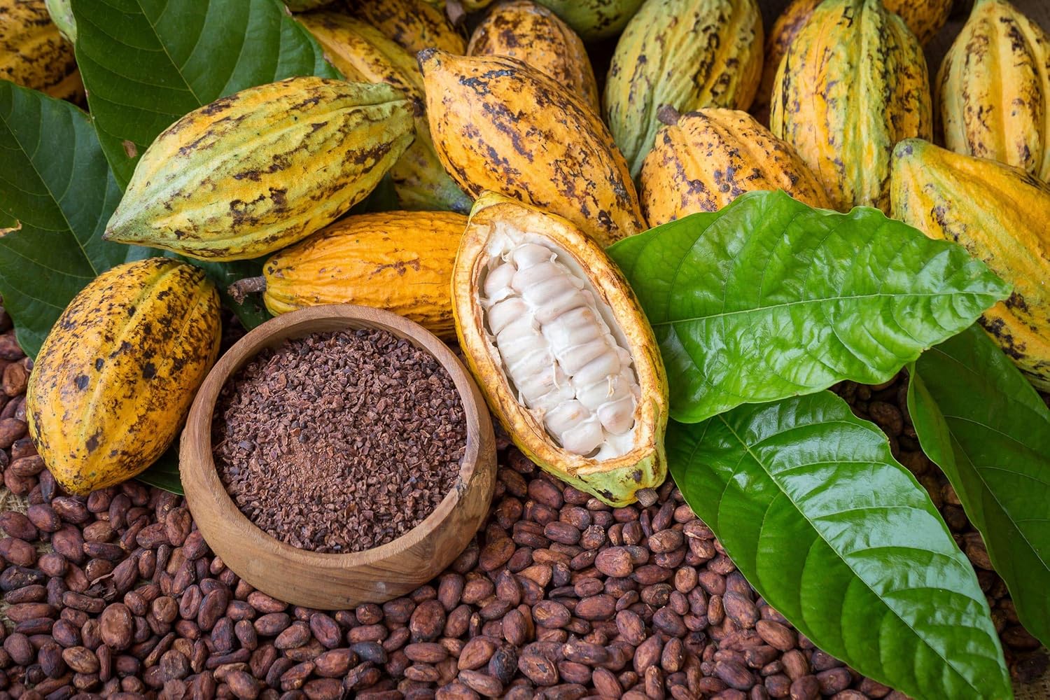 organic-cacao-butter-wafers---8-oz-non-gmo-raw-unrefined-keto-vegan-superfood---cold-pressed-for-cooking-baking---sirtfood-7