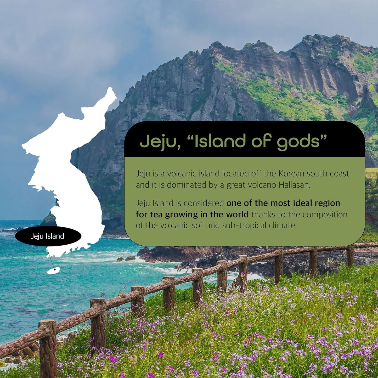 organic-matcha-green-tea-powder-from-jeju-korea---premium-first-harvest-106oz---usda-certified-3