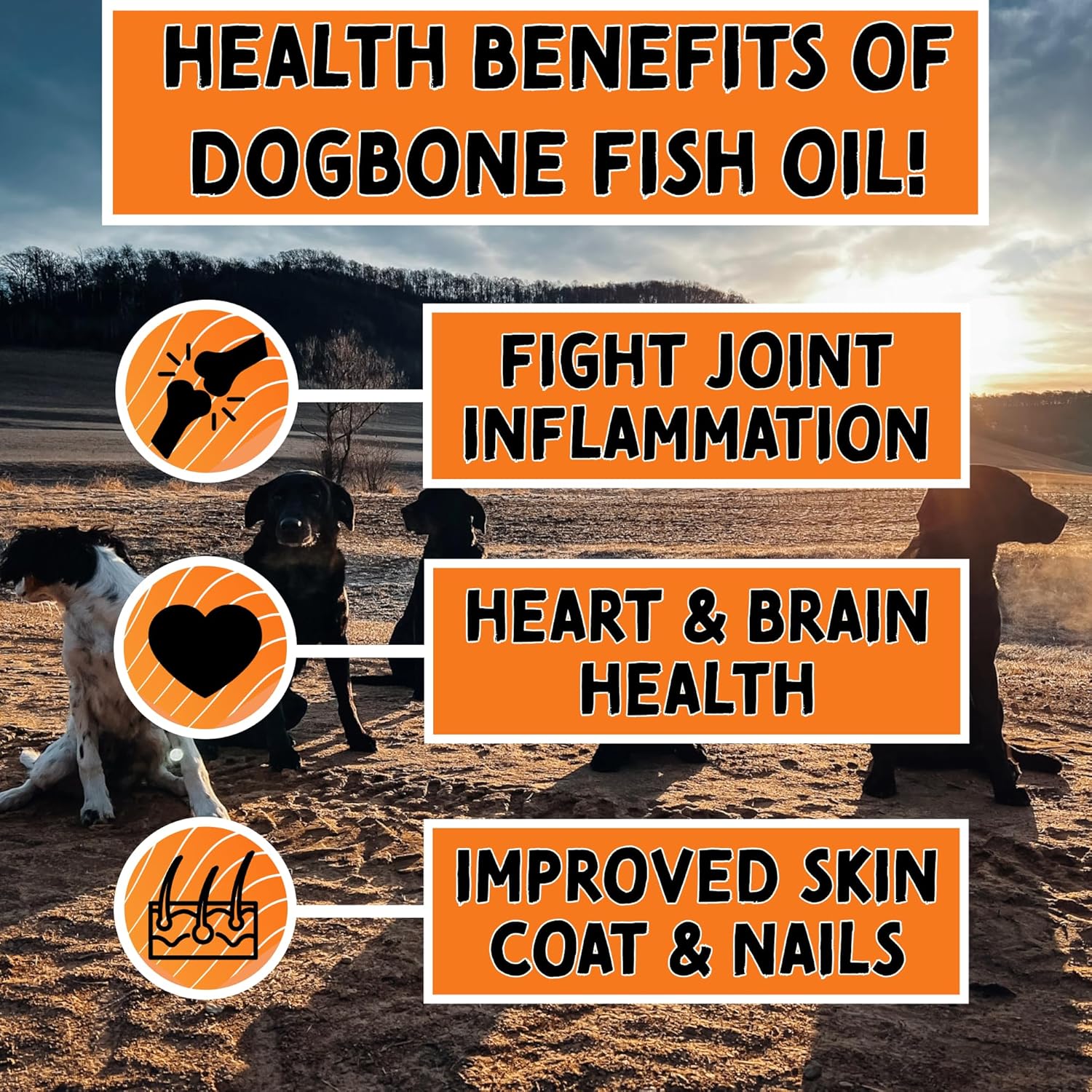 32-oz-dogbone-salmon-oil-for-dogs-omega-3-joint-supplement-vitamins-supplements-wild-alaskan-fish-oil-for-skin-coat-3