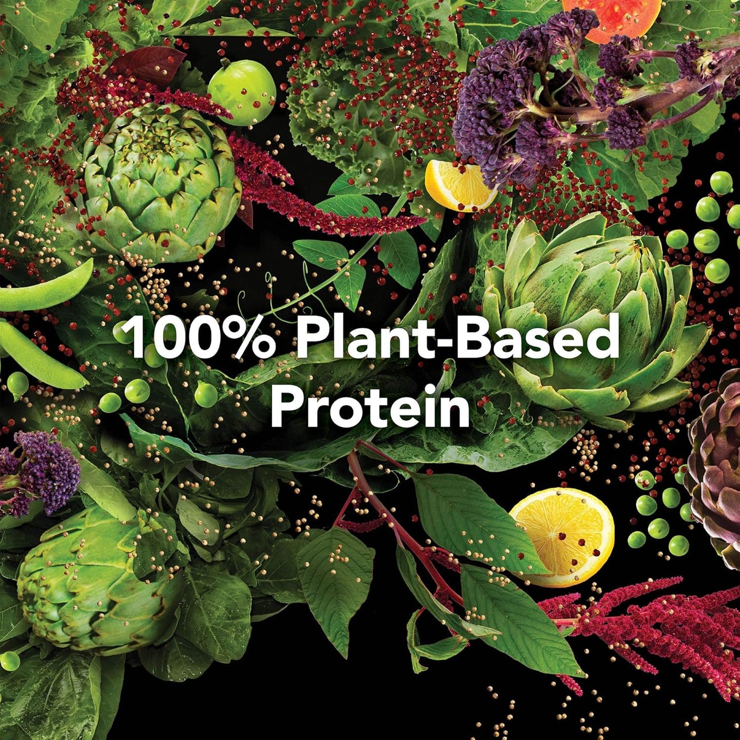 plantfusion-complete-meal-bundle---vegan-pea-protein-powder-gluten-free-non-dairy-no-sugar-non-gmo---vanilla-and-chocolate-caramel-flavors---1-lb-each-6