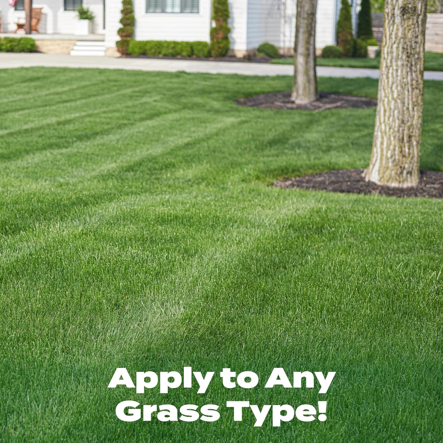 32 fl. oz. Scotts Liquid Turf Builder Lawn Fertilizer - Fertilizes and Hydrates All Grass Types with One Application - Espot.com.au