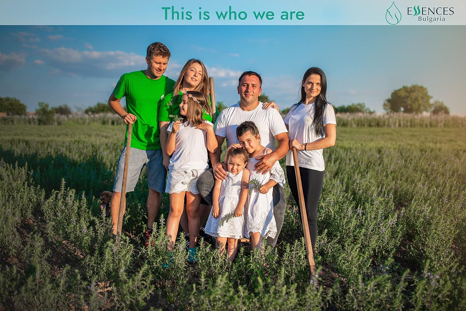 forest-magic-organic-essential-oils-set---scotch-pine-juniper-silver-fir---100-pure-natural---therapeutic-grade---non-gmo---family-owned-farm---3x-034-fl-oz-9