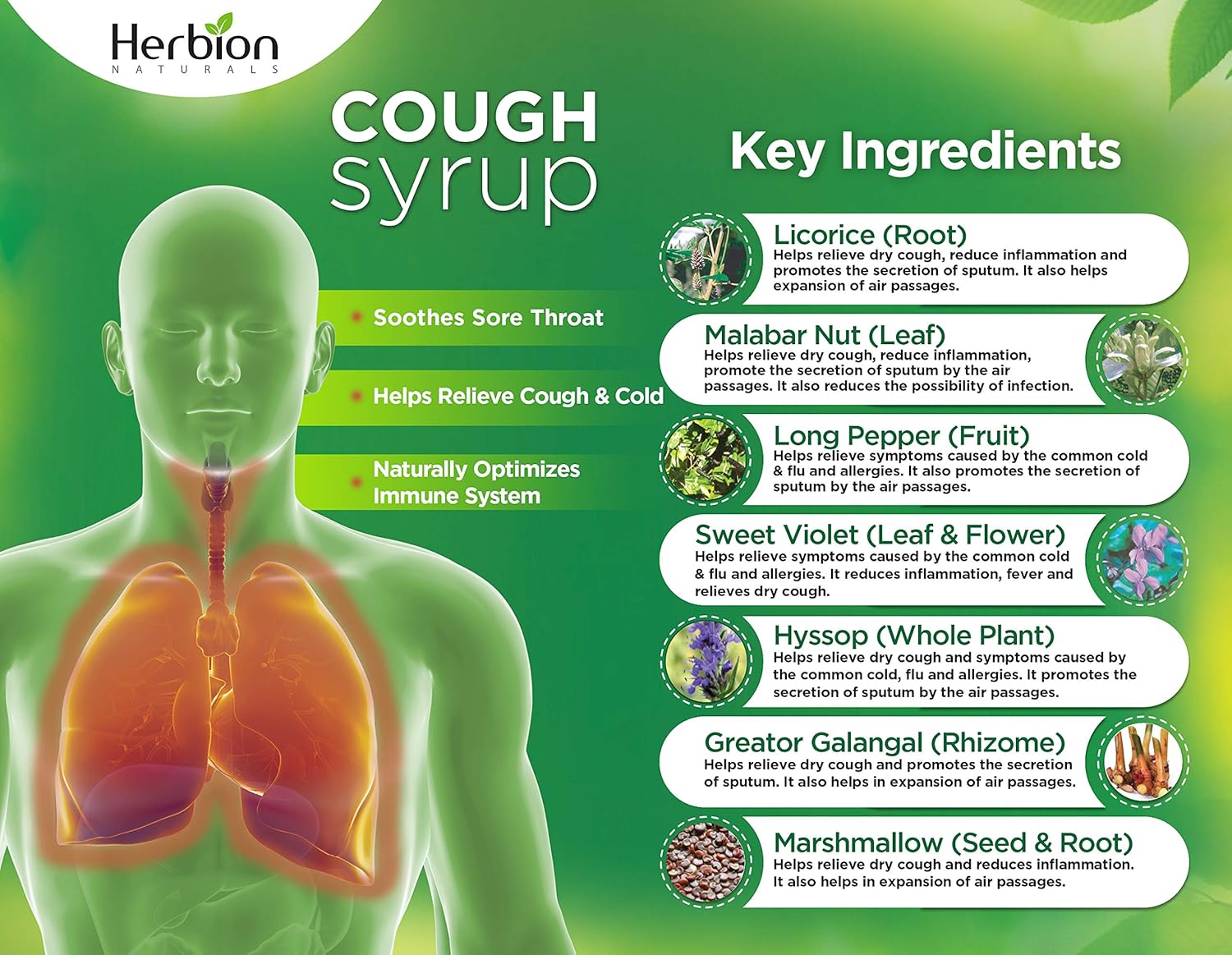 herbion-naturals-throat-syrup-5-oz---all-natural-gluten-free-throat-relief-syrup---dairy-free-wheat-free-formula-5