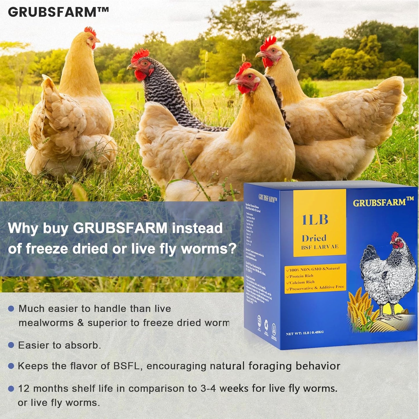 premium-dried-black-soldier-fly-larvae-for-chickens-1lb---high-calcium-supplement-for-molting-laying-hens---non-gmo-bsf-larvae-treats---superior-to-mealworms-4