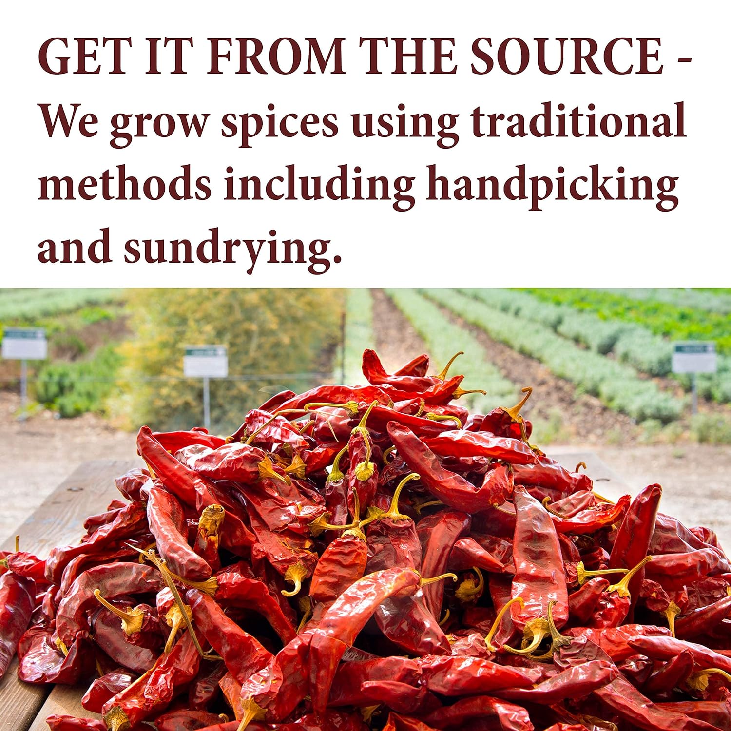 spice-way-jalapeno-powder---4-oz-hot-pepper-powder-made-from-pure-dried-chile-pods-6