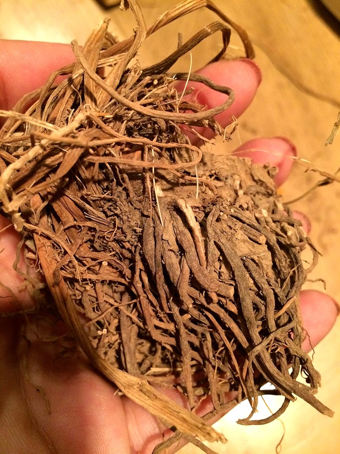 certified-organic-dried-valerian-root---2-oz---pure-valeriana-officinalis-herb-for-natural-wellness-and-relaxation-1