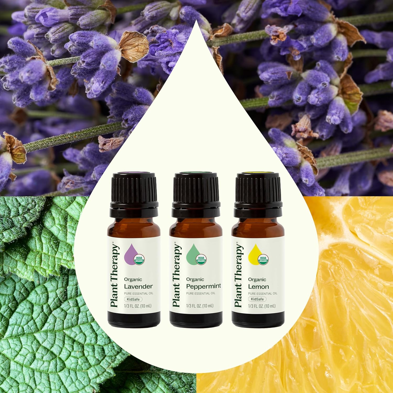 organic-essential-oil-set---lemon-lavender-peppermint---100-pure-undiluted-aromatherapy-for-diffusion-and-body-care---10-ml-3
