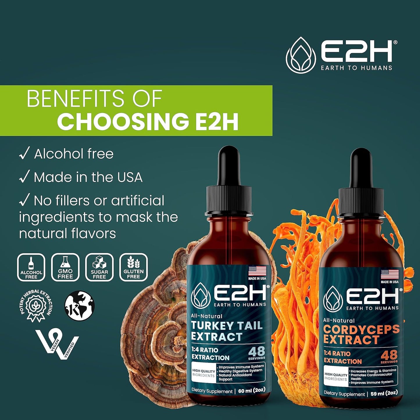 e2h-earth-to-humans-turkey-tail-cordyceps-extracts-bundle---immune-support-focus-memory-clarity---non-gmo-vegan---4-fl-oz-total-4