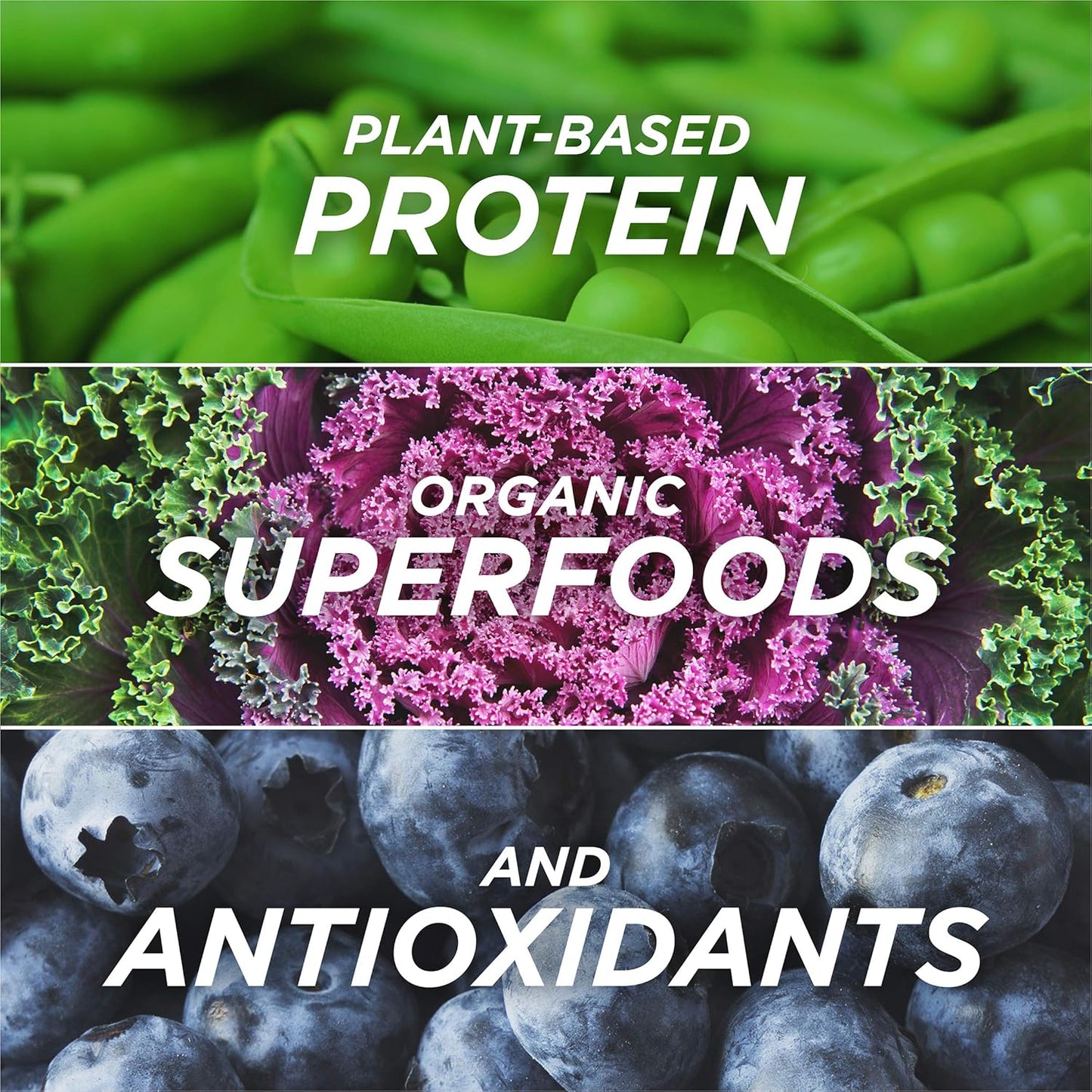 plant-based-mixed-berry-protein-powder-with-organic-superfoods-antioxidants---16-servings-3