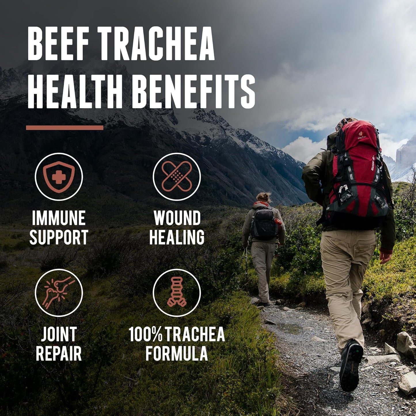 organic-beef-organs-and-trachea-supplement-by-one-earth-health---premium-quality-nutrients-for-overall-wellness-7