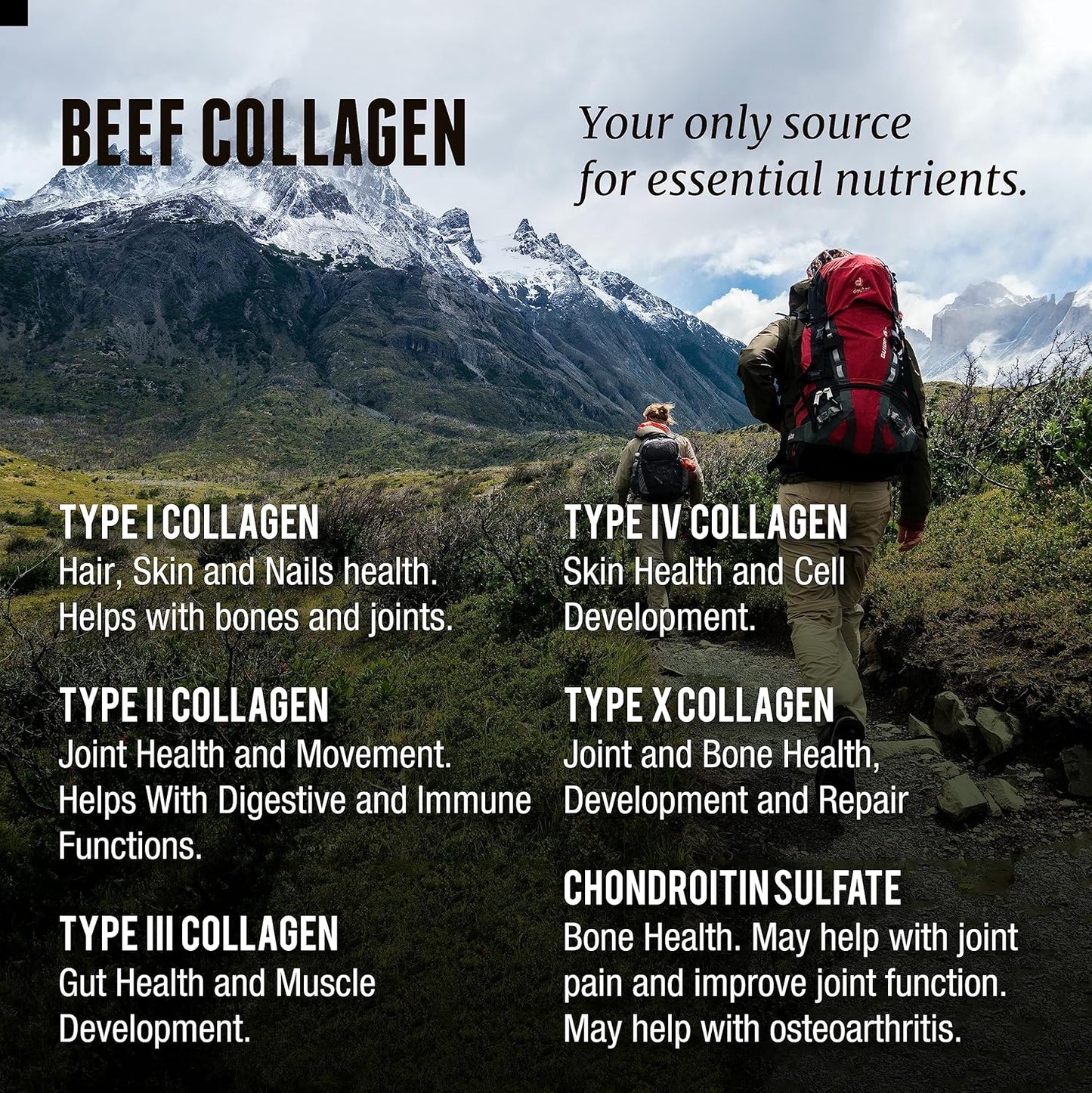 beef-organ-and-collagen-supplement-by-one-earth-health---boost-your-health-naturally-with-premium-ingredients-6