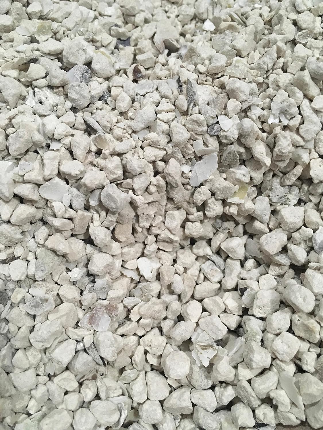 8-lb-natural-crushed-oyster-shell-with-calcium-by-four-winds-trading---perfect-for-gardening-and-poultry-care-2