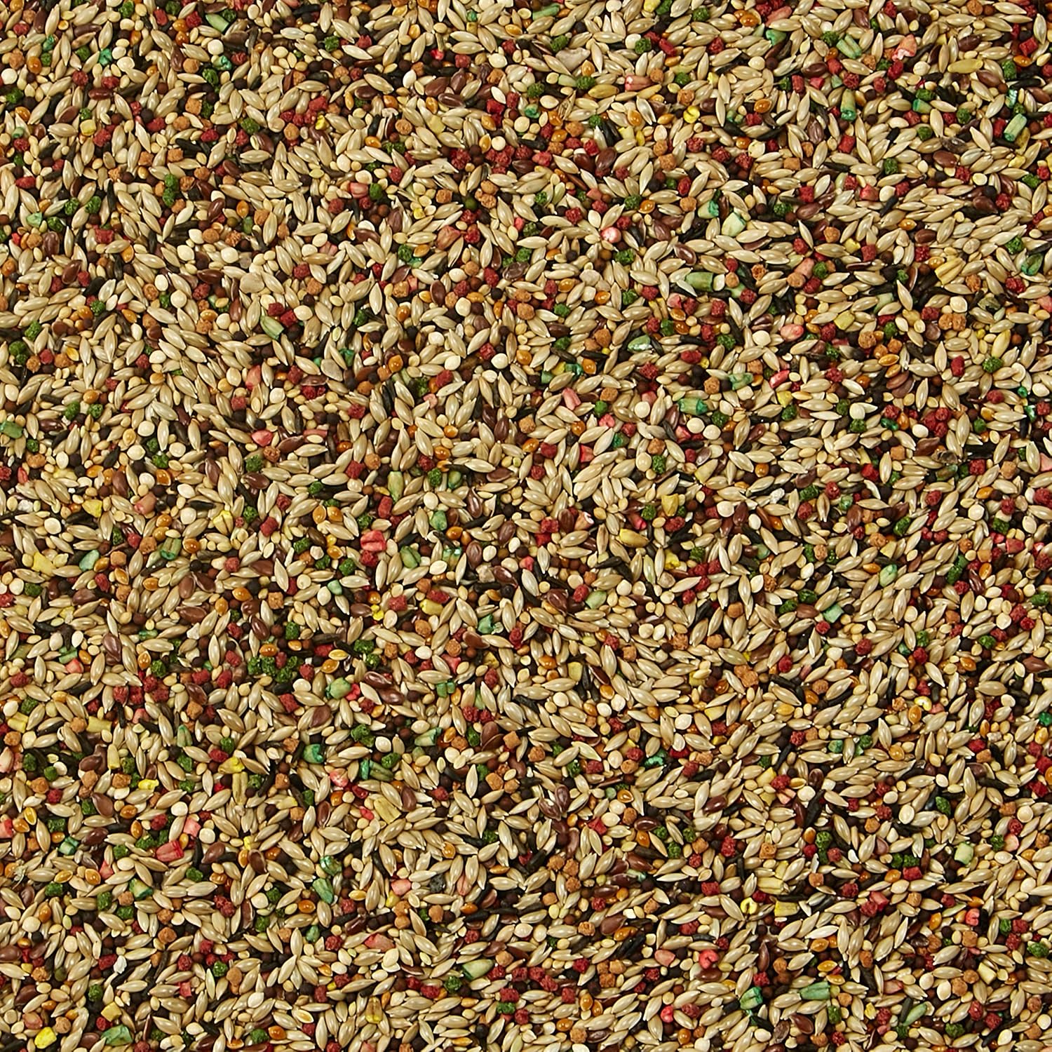 kaytee-forti-diet-pro-health-canary-finch-food---2-lb-bag---nutritious-blend-for-pet-birds---high-quality-ingredients-3