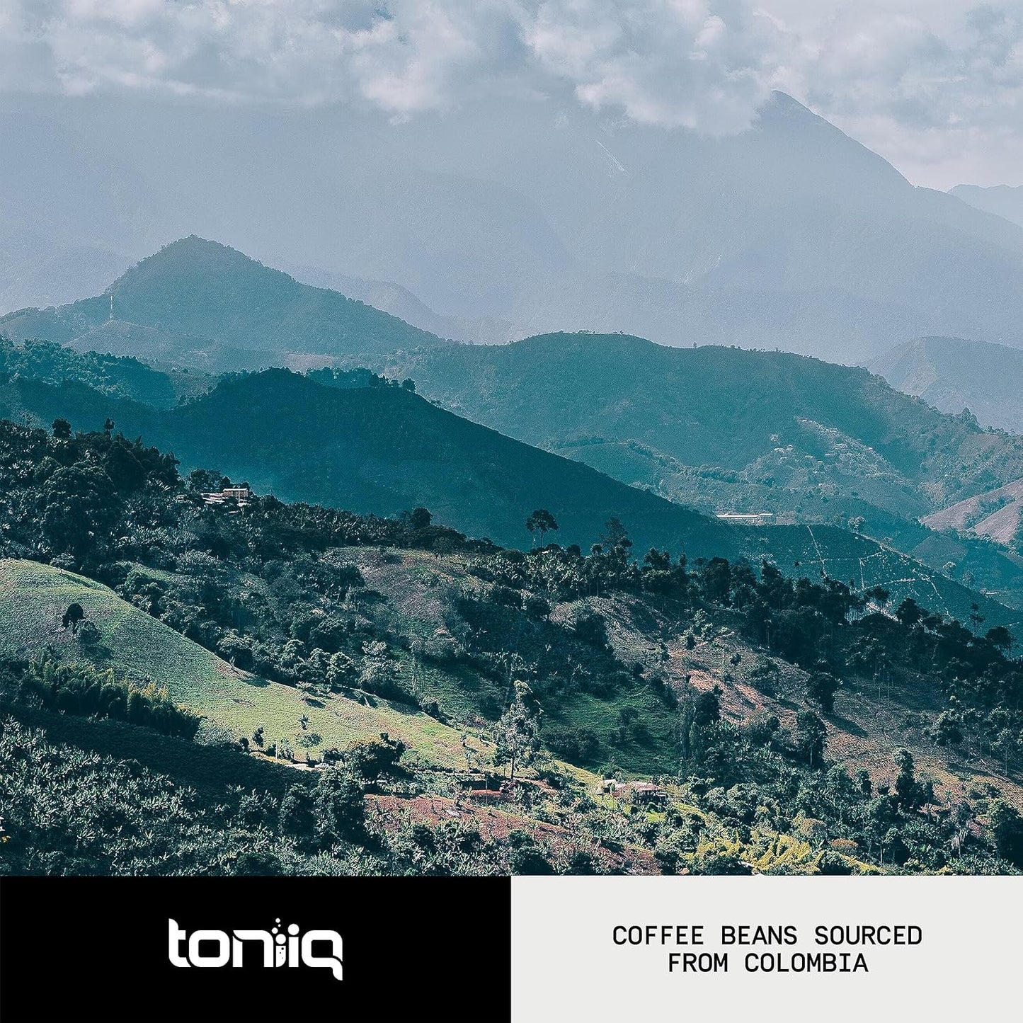 toniiq-ultra-concentrated-mushroom-coffee-3500mg-101-extract---colombian-sourced-beans-with-10-mushroom-blend-including-lions-mane-and-cordyceps---mushroom-powder-coffee-alternative-blend--tq-7