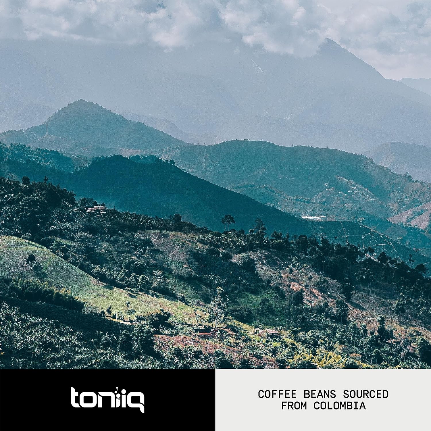 toniiq-ultra-concentrated-mushroom-coffee-3500mg-101-extract---colombian-sourced-beans-with-10-mushroom-blend-including-lions-mane-and-cordyceps---mushroom-powder-coffee-alternative-blend--tq-7