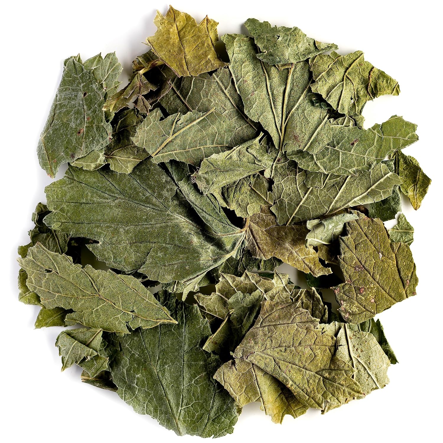 Organic Black Currant Leaf Tea - Perfect Pairing for Desserts - Ribes Nigrum Valley Tea - Espot.com.au