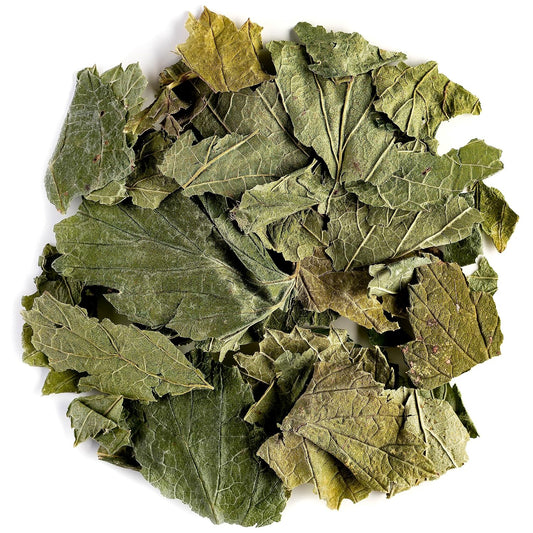 Organic Black Currant Leaf Tea - Perfect Pairing for Desserts - Ribes Nigrum Valley Tea - Espot.com.au
