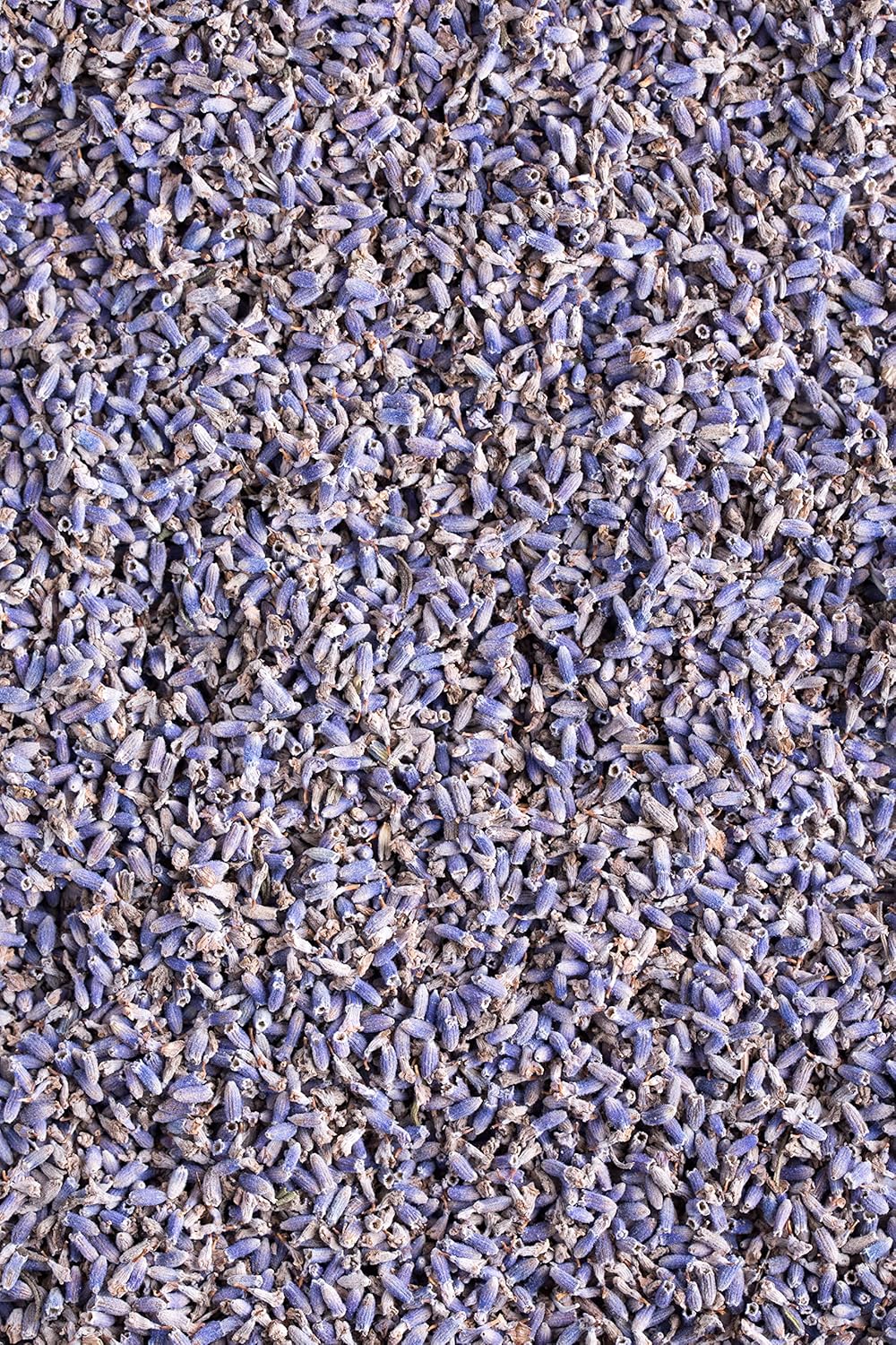 organic-lavender-tea---100-certified-dried-flowers-from-albanian-harvest---ideal-for-tea-baking-beauty-sachets---large-4oz-pack-by-us-wellness-naturals-2