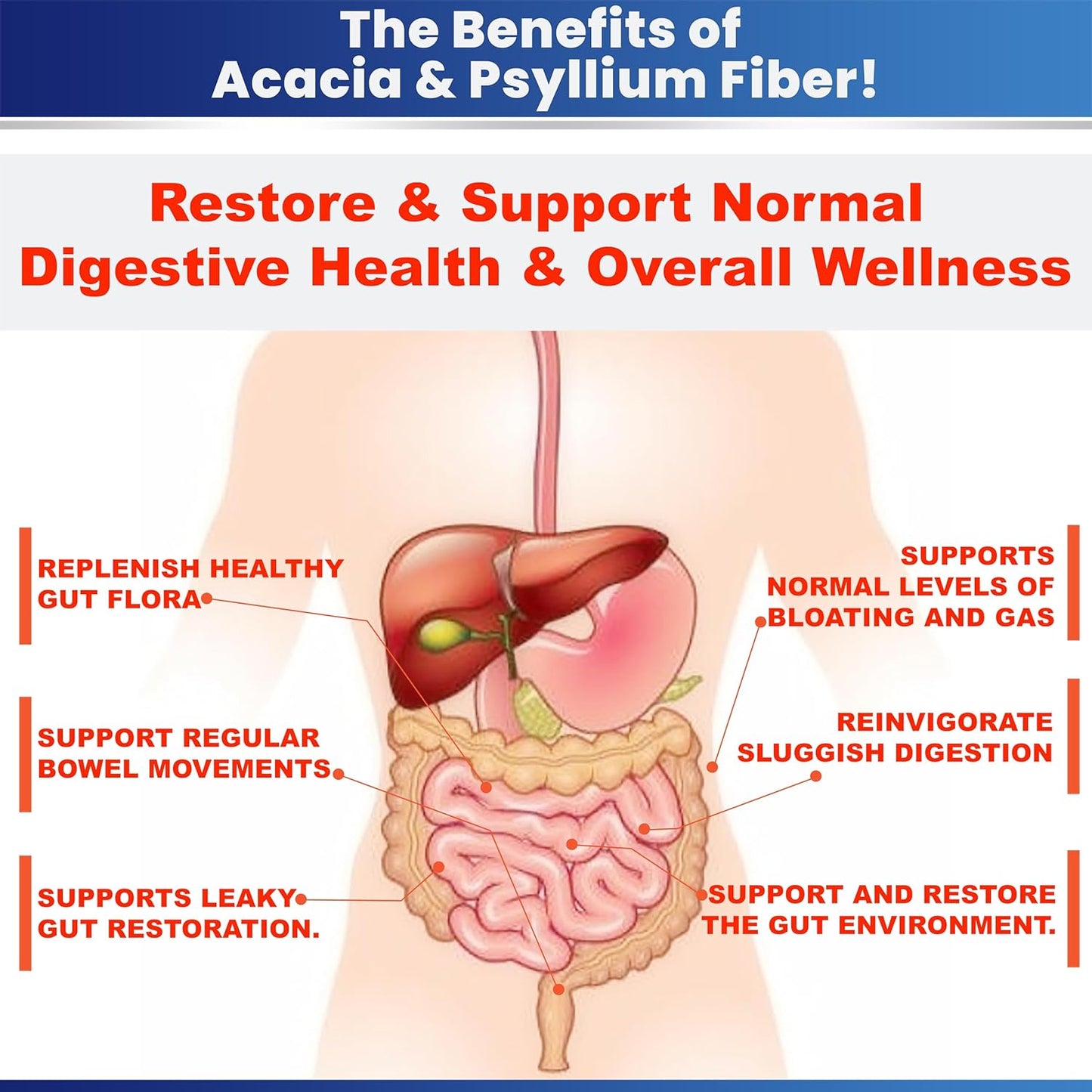 Acacia & Psyllium Husk Fiber Powder for Kidney Health and Digestive Support - 1.5 lbs (24oz)