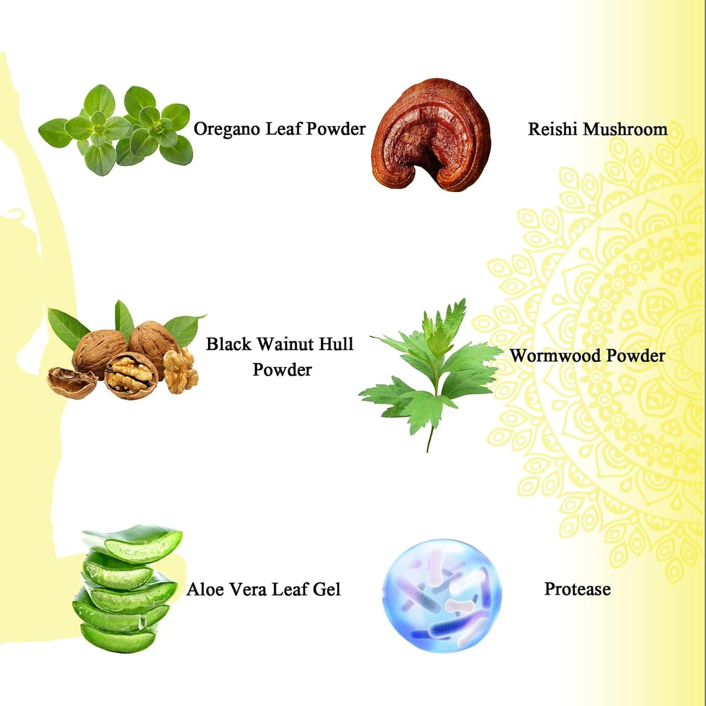 Advanced Candida Cleanse 180 Capsules - Intestinal Detox with Probiotics & Herbs - Oregano, Caprylic Acid, Black Walnut, Reishi
