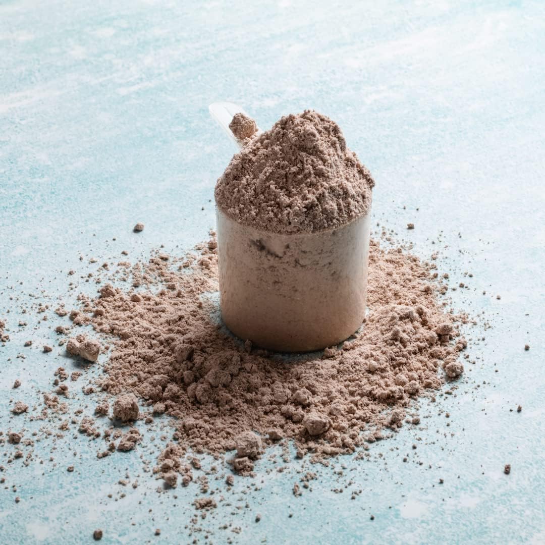 ALFA VITAMINS Chocolate Whey Protein Powder - 2 Lbs, 50g Protein Per Serving