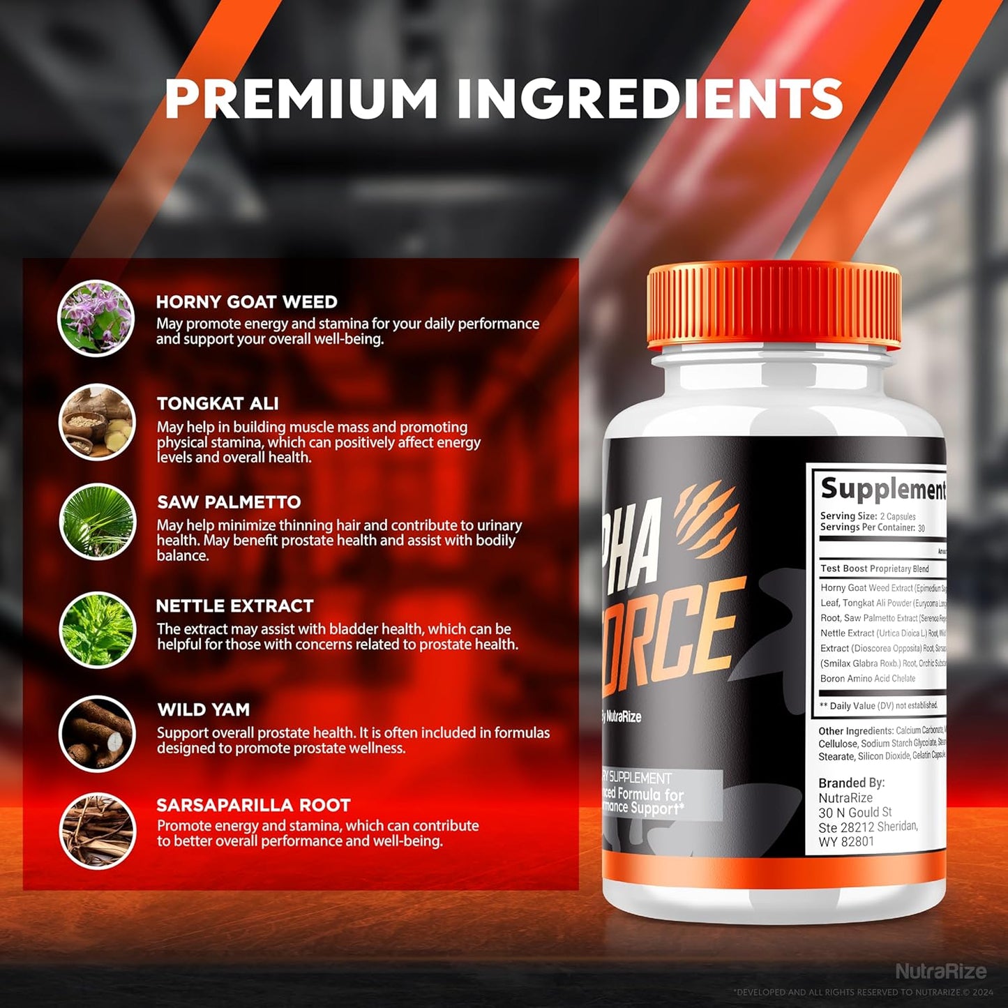 Alpha Force Energy and Performance Support Capsules - Pack of 5 for Overall Health - Nutritional Formula - Official Review (300 Capsules)