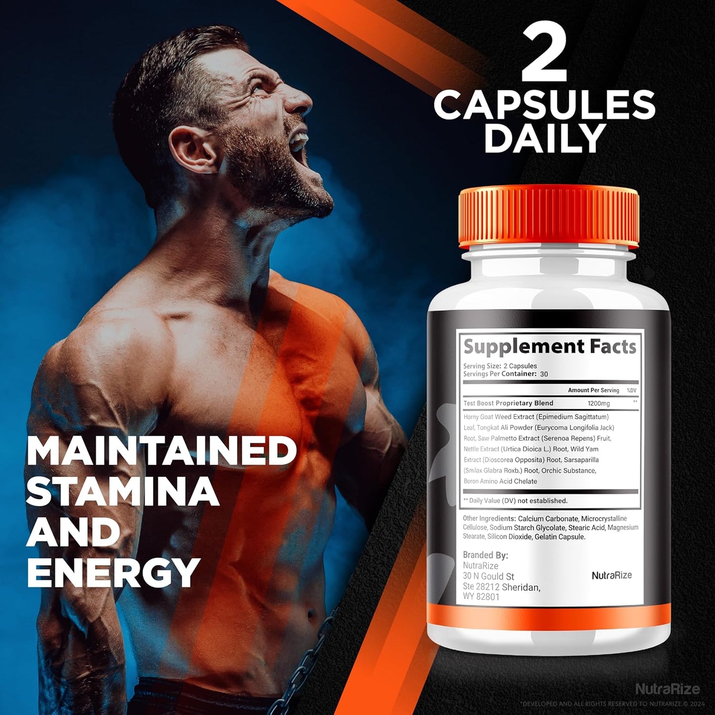 Alpha Force Energy and Performance Support Capsules - Pack of 5 for Overall Health - Nutritional Formula - Official Review (300 Capsules)
