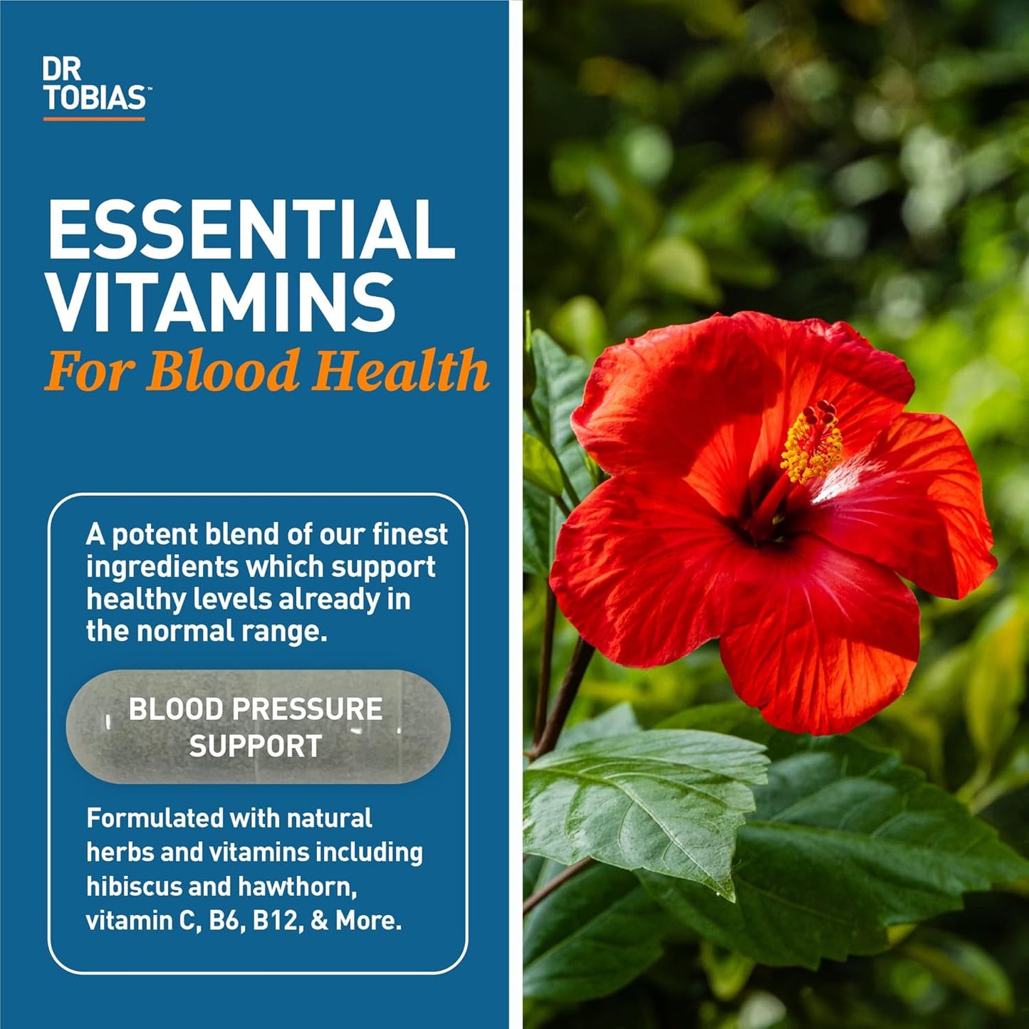 Alpha GPC & Blood Pressure Support Capsules - Enhance Cognitive Function & Circulatory Health with Choline, Herbs, & Vitamins