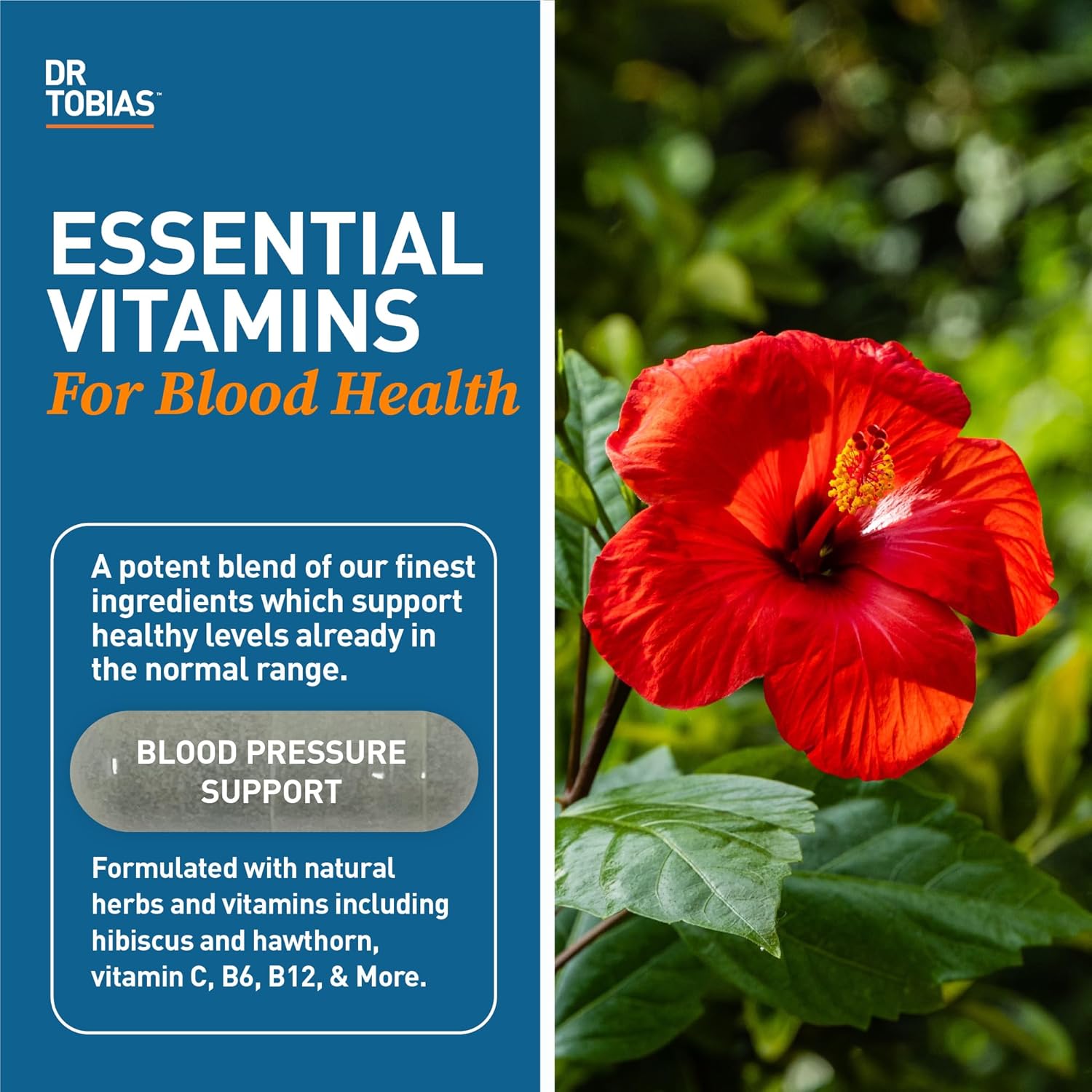 Alpha GPC & Blood Pressure Support Capsules - Enhance Cognitive Function & Circulatory Health with Choline, Herbs, & Vitamins
