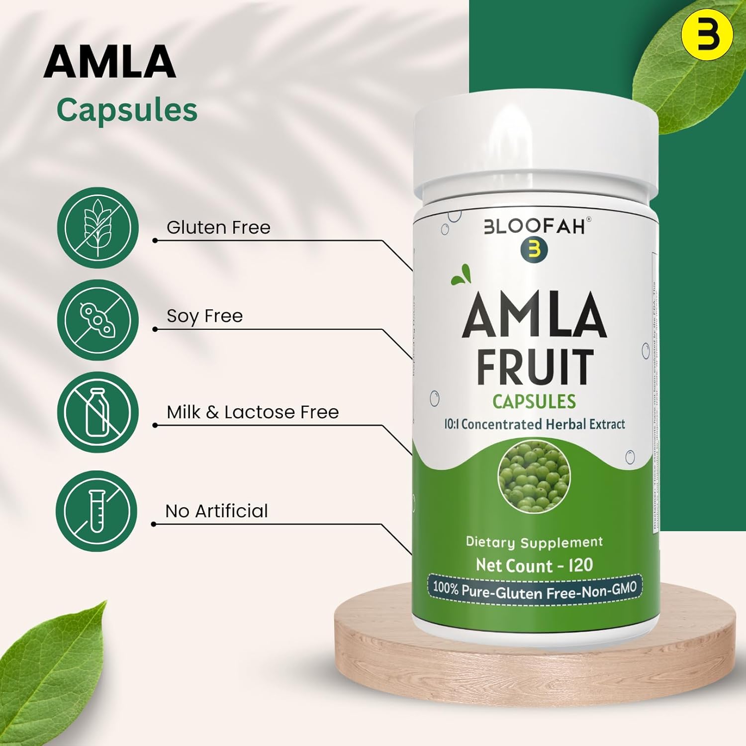 Amla Fruit Capsules 500mg | Concentrated 10:1 Extract Phyllanthus emblica | Herbal Supplement | Non-GMO, Gluten-Free | Traditional Wellness (120 Count)