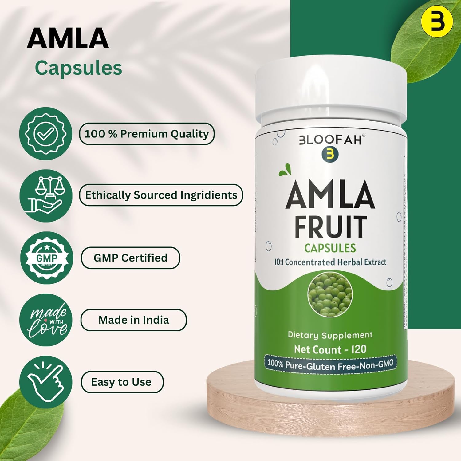 Amla Fruit Capsules 500mg | Concentrated 10:1 Extract Phyllanthus emblica | Herbal Supplement | Non-GMO, Gluten-Free | Traditional Wellness (120 Count)