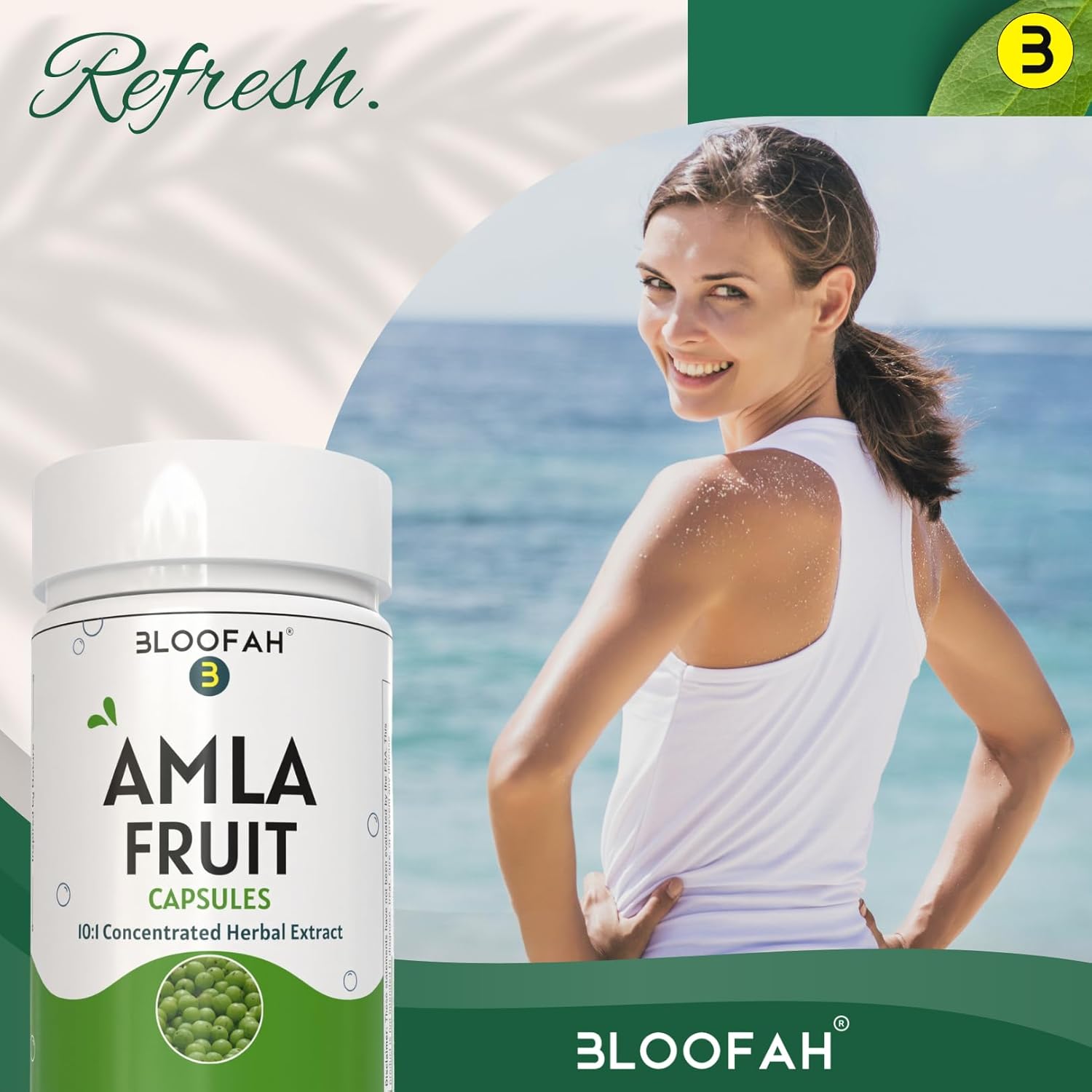 Amla Fruit Capsules 500mg | Concentrated 10:1 Extract Phyllanthus emblica | Herbal Supplement | Non-GMO, Gluten-Free | Traditional Wellness (120 Count)