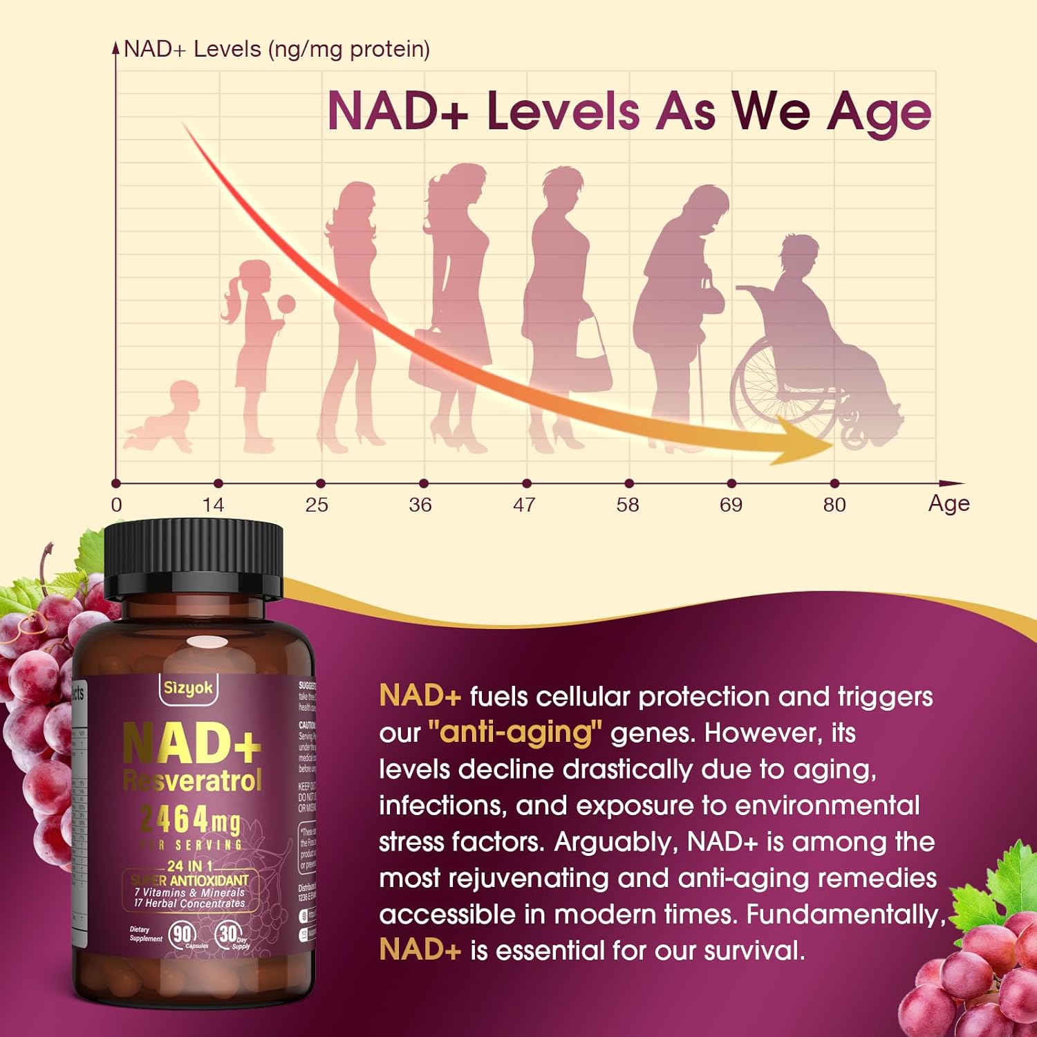 Antioxidant Rich Liposomal NAD+ Resveratrol Supplement for Energy, Focus, and Anti-Aging - 84 Capsules