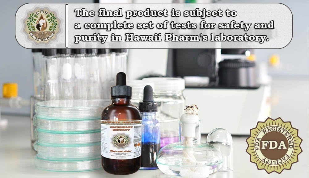 Arnica Liquid Extract for Pets - Hawaii Pharm Veterinary Natural Alcohol-Free Herbal Supplement 2 oz