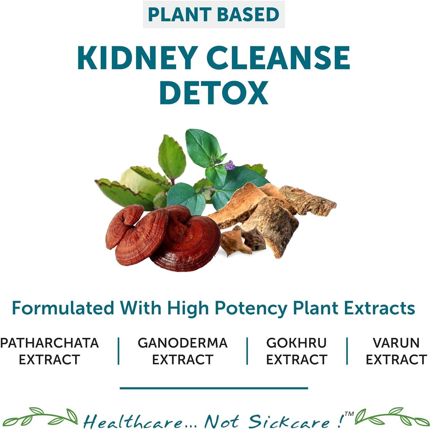 Ayurvedic Kidney Detox Supplement with Punarnava, Patharchatta, Gokhru, and Ganoderma Extracts for Kidney Support - 60 Veg Tablets