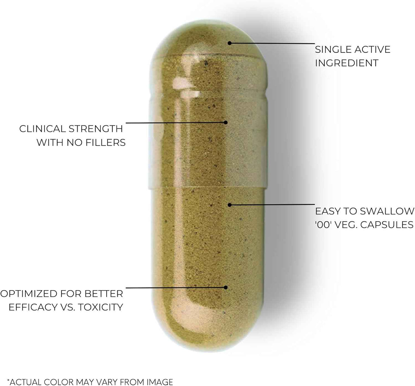 Bacopa Monnieri Capsules 750mg – Herbal Supplement with 40% Bacosides Bacopa Monnieri – 60 Capsules